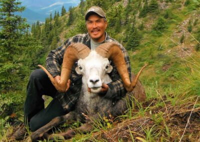 Stone Sheep jakt i canada