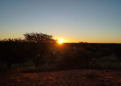 Solnedgangen i Kalahari er litt av ett skue